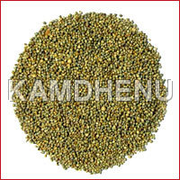 Green Millet ( Bajara)