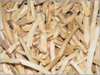 Asparagus racemosus (shatavari)