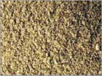Withania somnifera (Ashwagandha Powder)