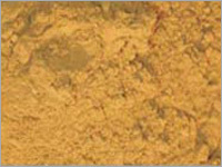 Ocimum sanctum Tulsi Powder