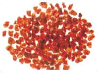 Acacia nilotica (Kikar)