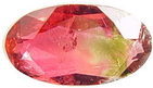 Bicolor Tourmaline