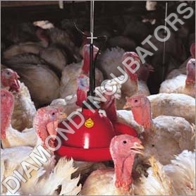 Poultry Drinker