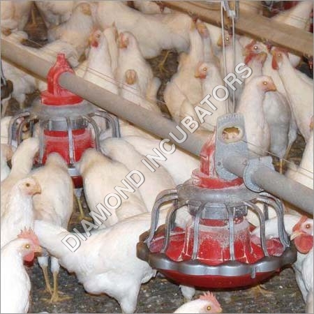 Poultry Feeder