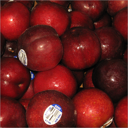 Plum