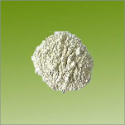 Whole Milk Powder