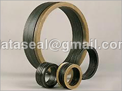 Hydraulic Seals