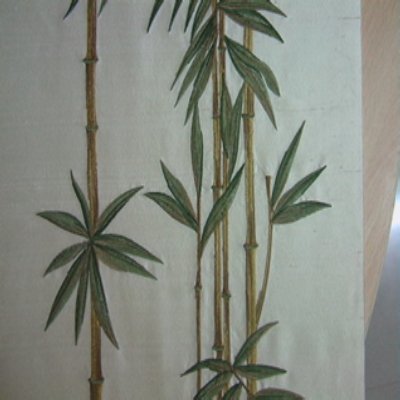 Bamboo Design