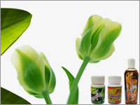 Herbal Medicine