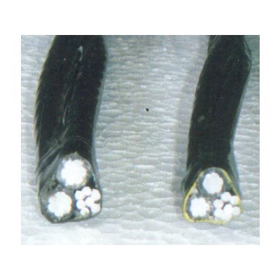 Aerial Bunched Cables