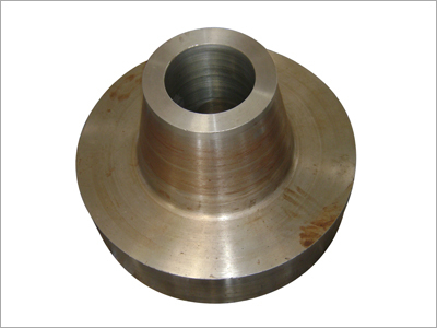 Forged Flanges