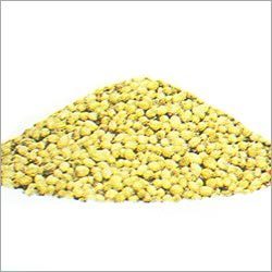 Coriander