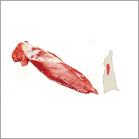 Buffalo Tender Loin