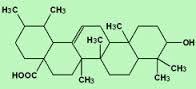 Ursolic Acid