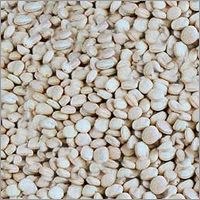 Tamarind Kernel Powder