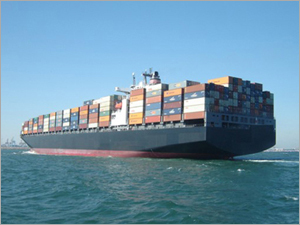 Sea Freight Import/Export