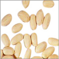 Blanched Peanut