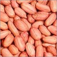 Bold type Groundnuts Kernel