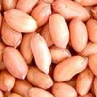 Bold Type Kernel