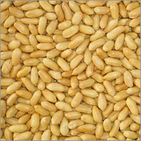 Fried Peanuts