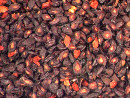 Eucalyptus Citriodora Seeds