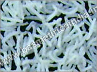 Nazma Basmati Rice