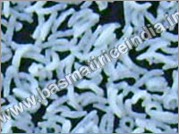 Olympus (Sharbati Steam Basmati Rice)