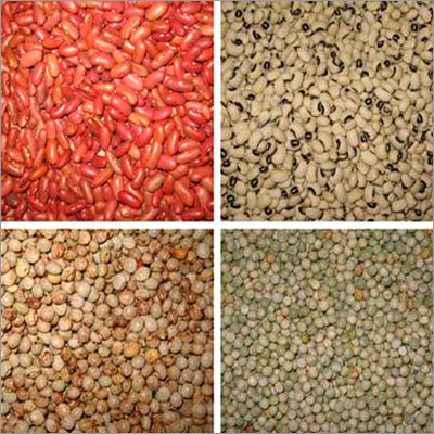 Cereals