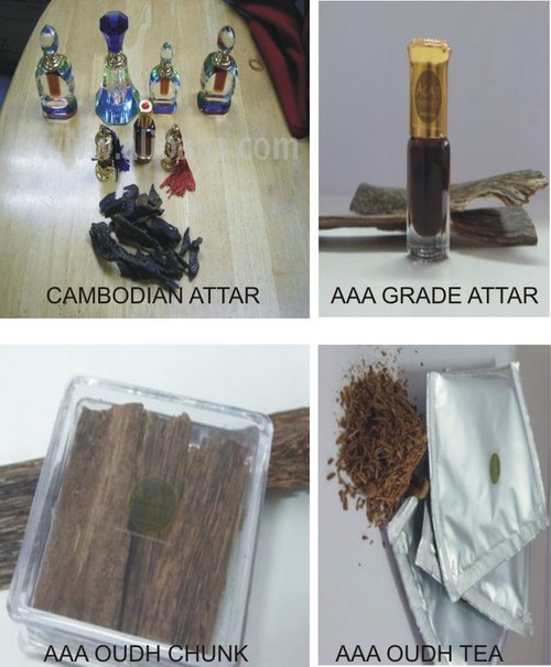 Fragrances