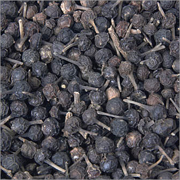 Black Pepper