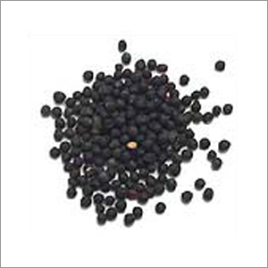Black Pepper