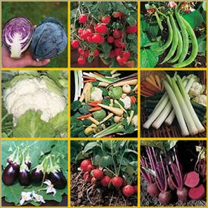 Agricultural Commodities