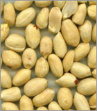 Ground Nuts