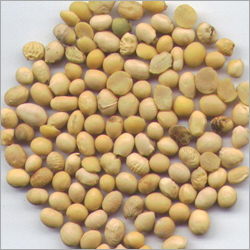Soya