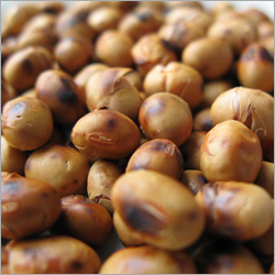 Soya