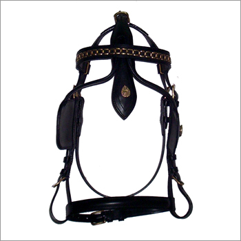Leather Bridle