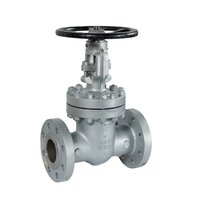 Cast Gate Valve Os & Y Type Bolted Bonnet