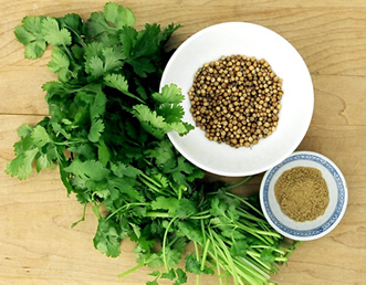 Coriander Seed / Dhania