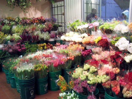 FRESH CUT FLOWERS