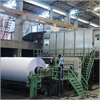 Coated Paperboard