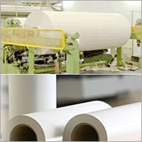 Duplex Packaging Board