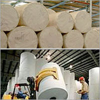 Duplex Paper Board