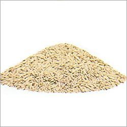 Cumin