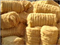 Coconut Fibre