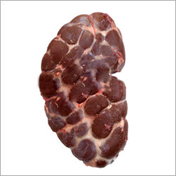 Halal Buffalo Kidney