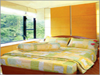 Bed Sheet Cover