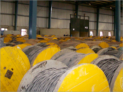Armoured & unarmoured Power Cables