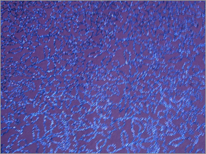 08- Gift Wrapping Sheets
