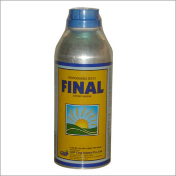 Final