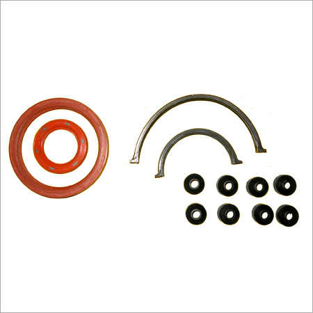 Oil Seals and Valve Seals